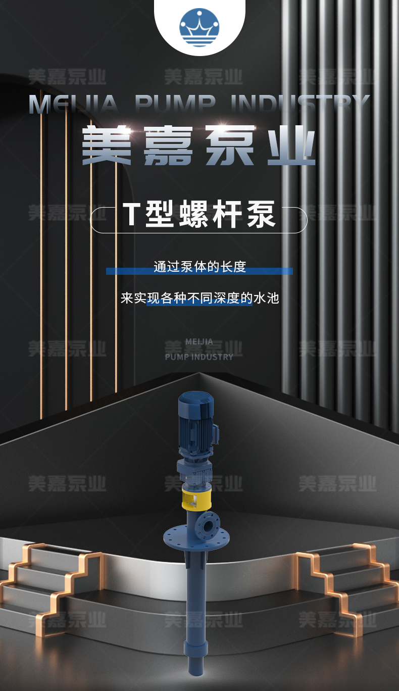 T型螺杆泵_01.jpg